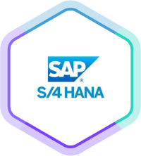 SAP S/4 Hana