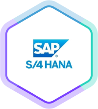 Logo von SAP S/4 HANA in einem Sechseck, das einen Connector symbolisiert