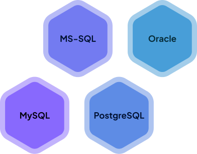 4 hexagons with the name of the respective database type in them (MS-SQL, Oracle, MySQL and PostgreSQL)